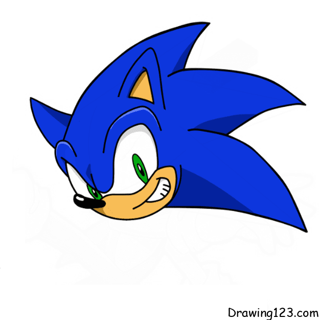 How To Draw Sonic for Beginners 