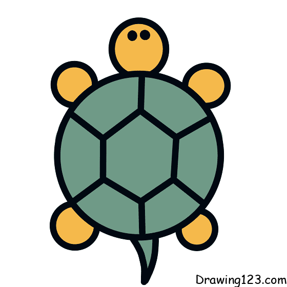 simple turtle cartoon