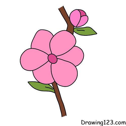 Peach blossom Drawing Tutorial - How to draw Peach blossom step by