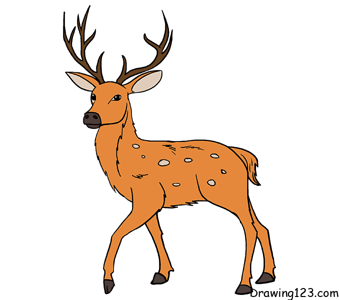 simple baby deer drawing