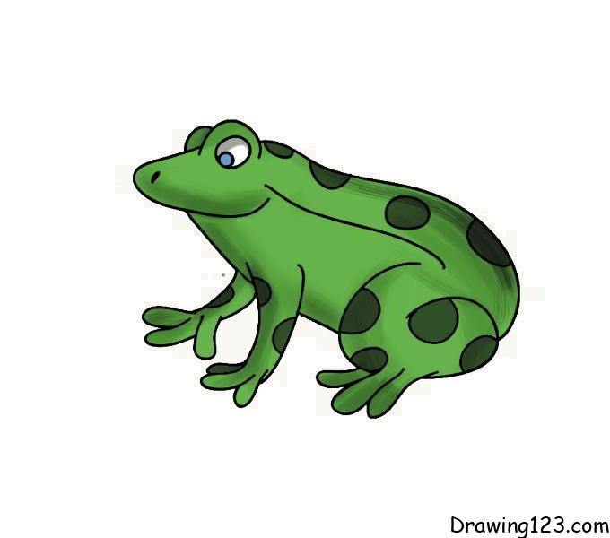 Cute Frog Drawing: Easy Instructions - Drawings Of