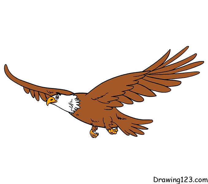 simple flying hawk drawing