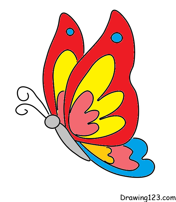 cute butterfly illustration