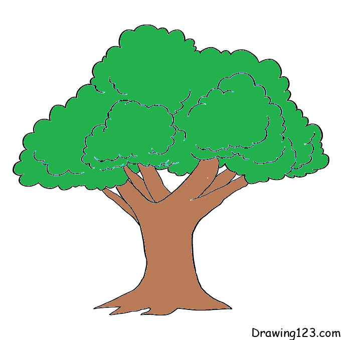 apple tree drawing with color