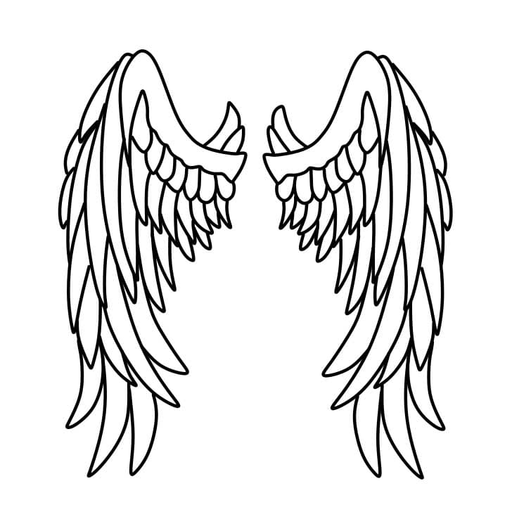 angel wings side view drawing