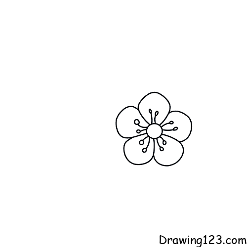Anyone know the type of flowers in this drawing? (getting this as a tattoo  so would like to know what it is exactly) : r/whatsthisplant