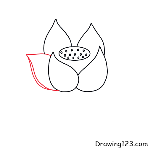 Simple and Easy Lotus Flower Drawing Flower Drawing Tutorial  Free Jupiter