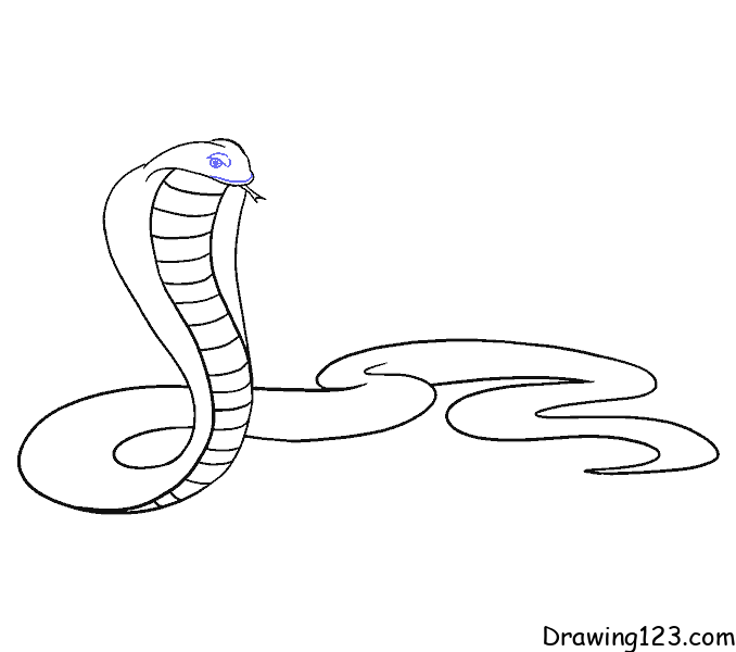 How To Draw A King Cobra, Step by Step, Drawing Guide, by Dawn |  dragoart.com | Snake drawing, Snake tattoo design, Snake coloring pages