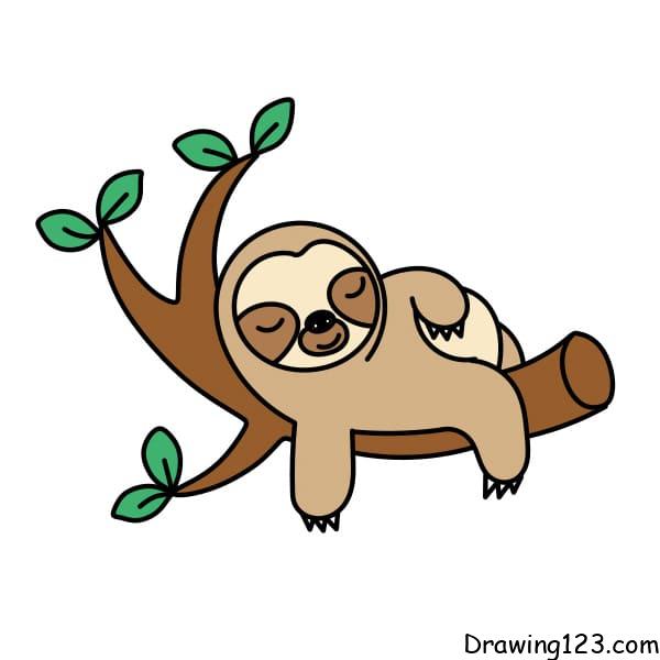 three toed sloth drawing