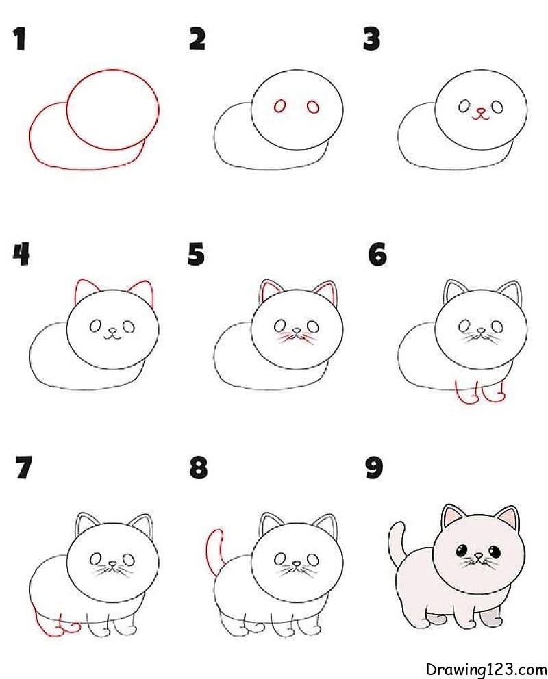 5 Unique Ways To Draw A Cat !! How to draw a cat | Cat Drawing Ideas | Easy  drawing tricks | Drawing for kids | house cat, drawing | 5 Unique