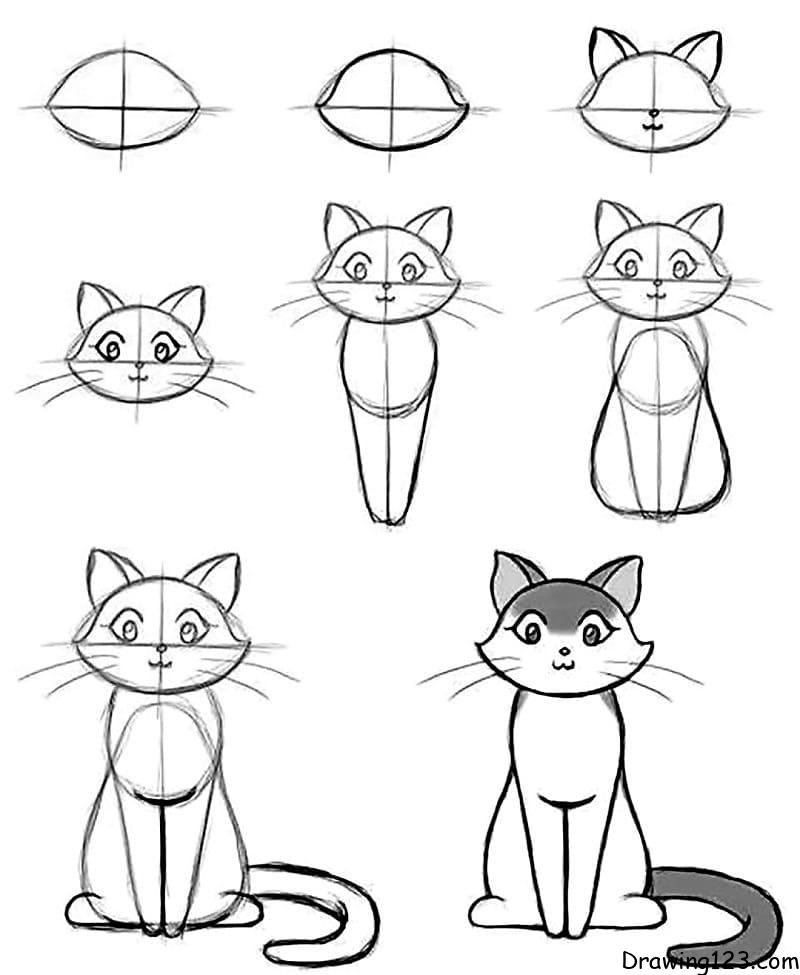 How to Draw a Cat • Step-by-Step Instructions