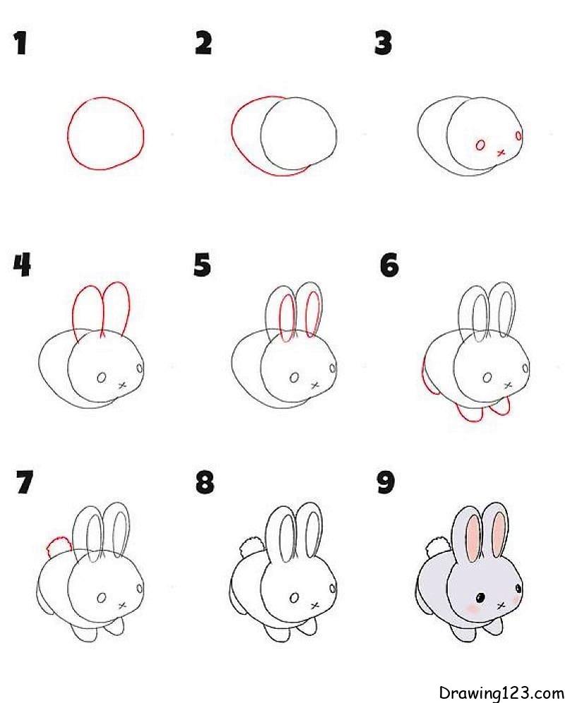 Rabbit Drawing Idea 7 step by step