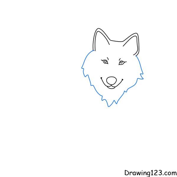 How to Draw a Wolf Face and Head - Really Easy Drawing Tutorial