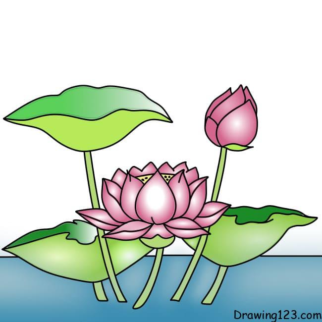 How to draw a Lotus drawing for kids | Very Easy Lotus Drawing | Colori...  | Lotus drawing, Drawing for kids, Drawings