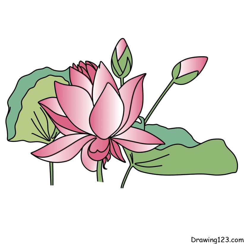 how to draw a lotus flower step by step for kids