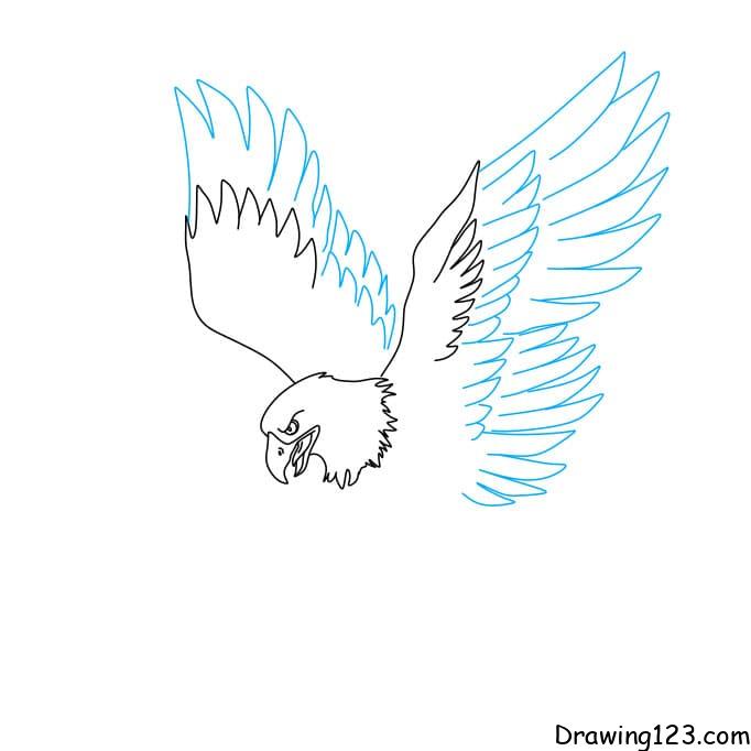 how to draw a flying eagle