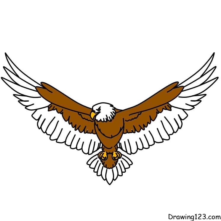 simple flying eagle drawing