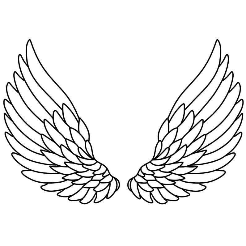 Angel Wings Drawing Tutorial - How to draw Angel Wings step by step