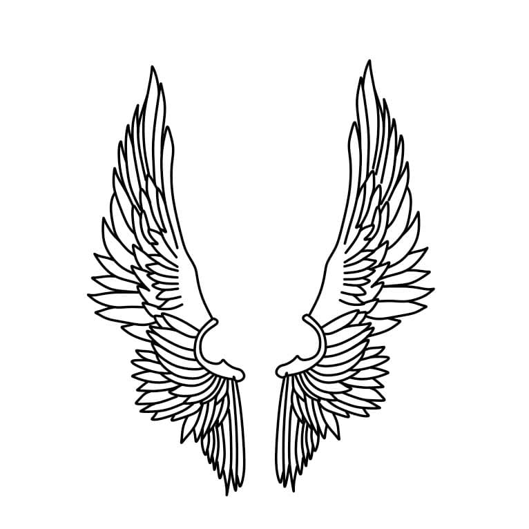 Angel wings isolated on white background hand drawn vector illustration.  Black work, flash tattoo or print design Stock Vector by ©Croisy 169332650