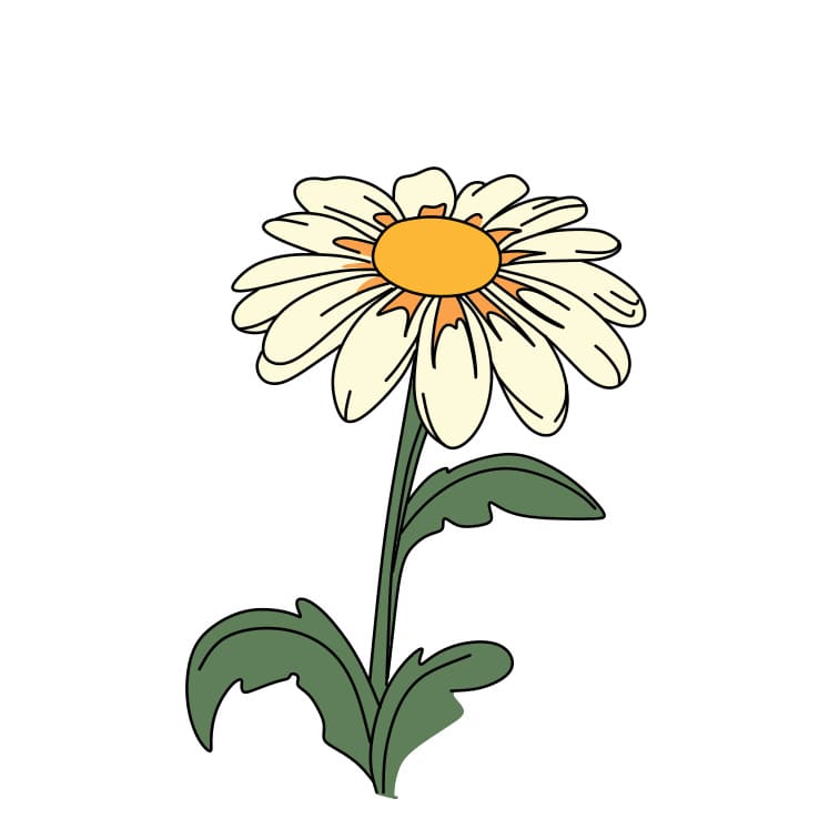 Daisy Floral Botany Sketch Daisy Flower Stock Illustration 1175434975 |  Shutterstock